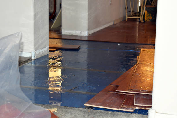 Professional Water Damage Restoration technician working in Nichols, WI